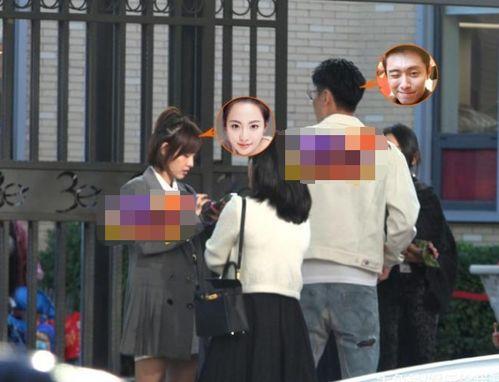 娱乐爆料张嘉倪是哪一期,揭秘明星幕后故事！