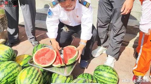 盐山网红吃瓜事件视频,一场网络狂欢背后的真相揭秘 第2张 盐山网红吃瓜事件视频,一场网络狂欢背后的真相揭秘 第2张