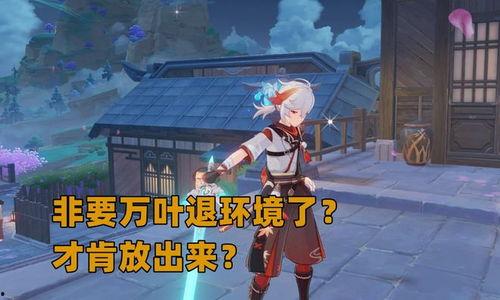 最新复刻爆料原神,探寻神秘新角色与经典回忆交织的奇幻之旅  第2张